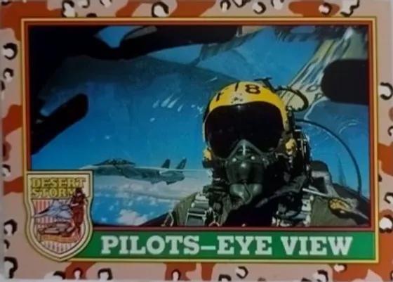 Pilots-Eye View #24
