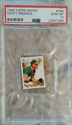 Scott Brosius #796