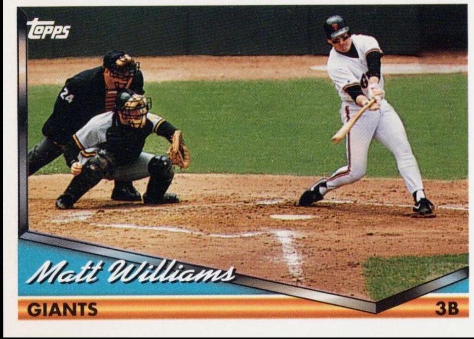 Matt Williams #225