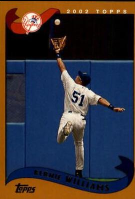 Bernie Williams #510