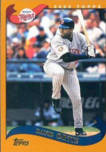 David Ortiz #489