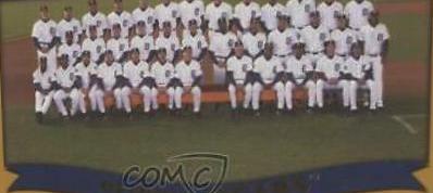 Detroit Tigers #651