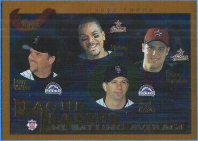 Lance Berkman, Larry Walker, Moises Alou, Todd Helton #343