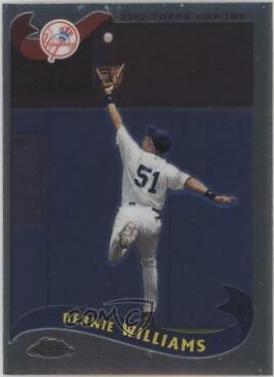 Bernie Williams #510