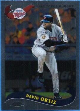 David Ortiz #489
