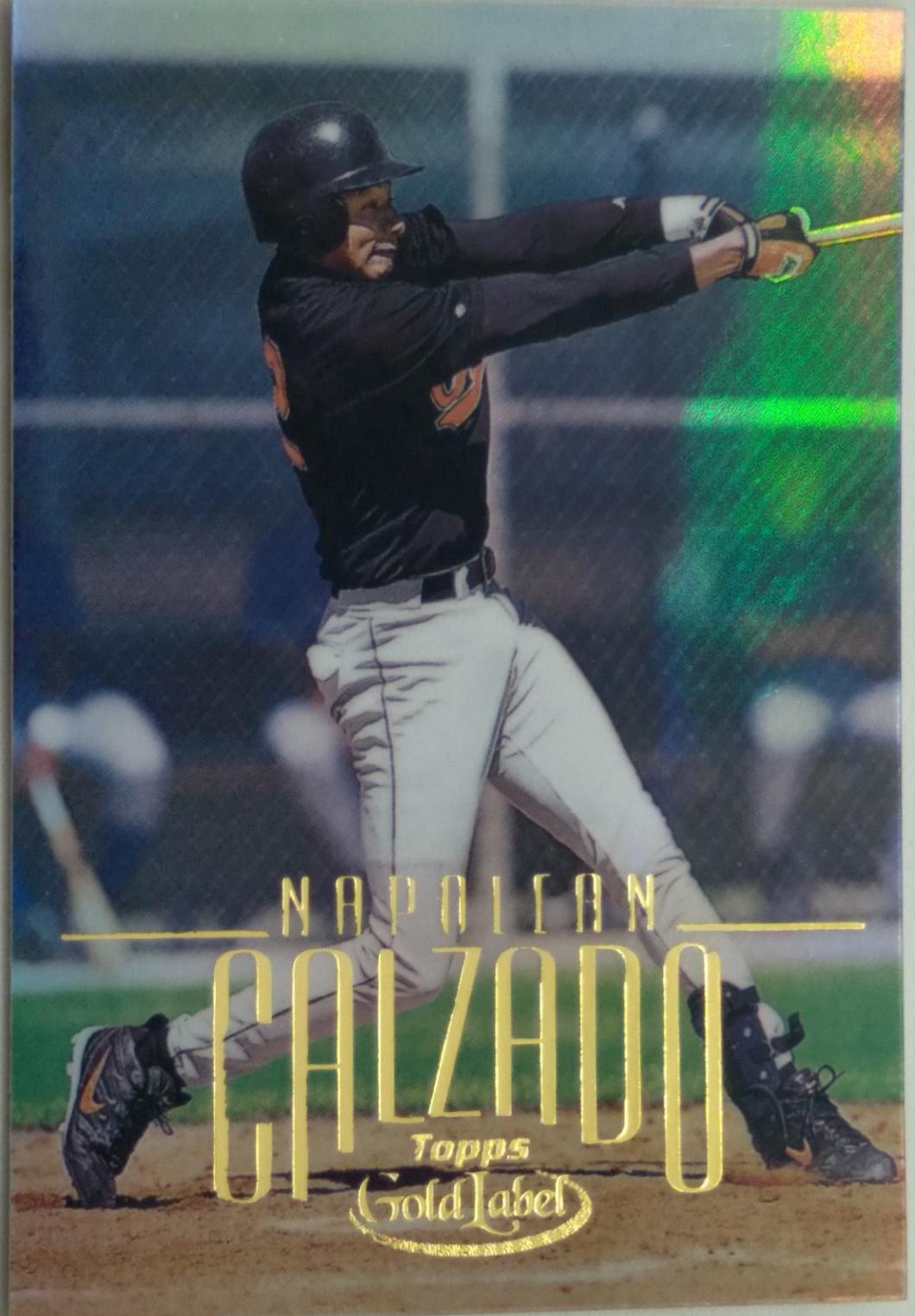Napoleon Calzado #137
