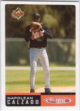 Napoleon Calzado #734