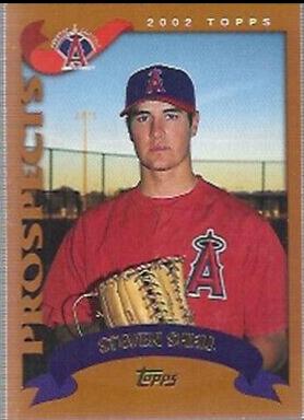 Steven Shell #T256