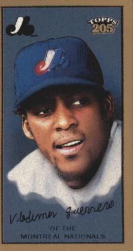 Vladimir Guerrero #15