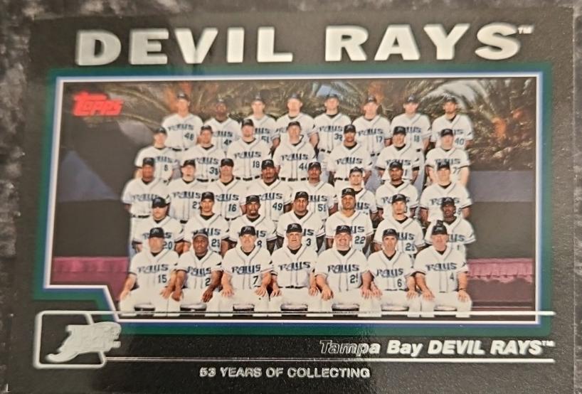Tampa Bay Devil Rays [Black] #665