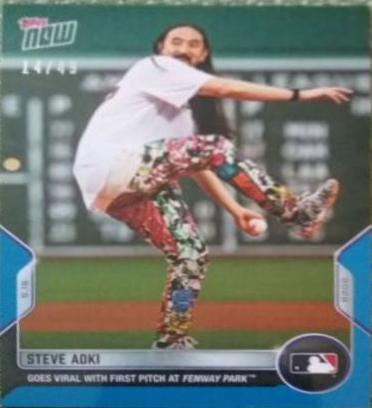 Steve Aoki [Blue] #191
