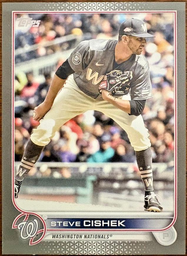Steve Cishek [Platinum] #US296