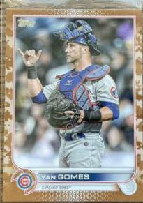 Yan Gomes [Memorial Day Camo] #US245