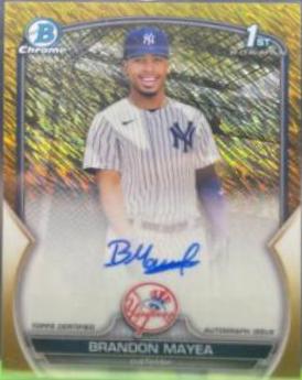 Brandon Walter [Gold Shimmer] #CPA-BWR