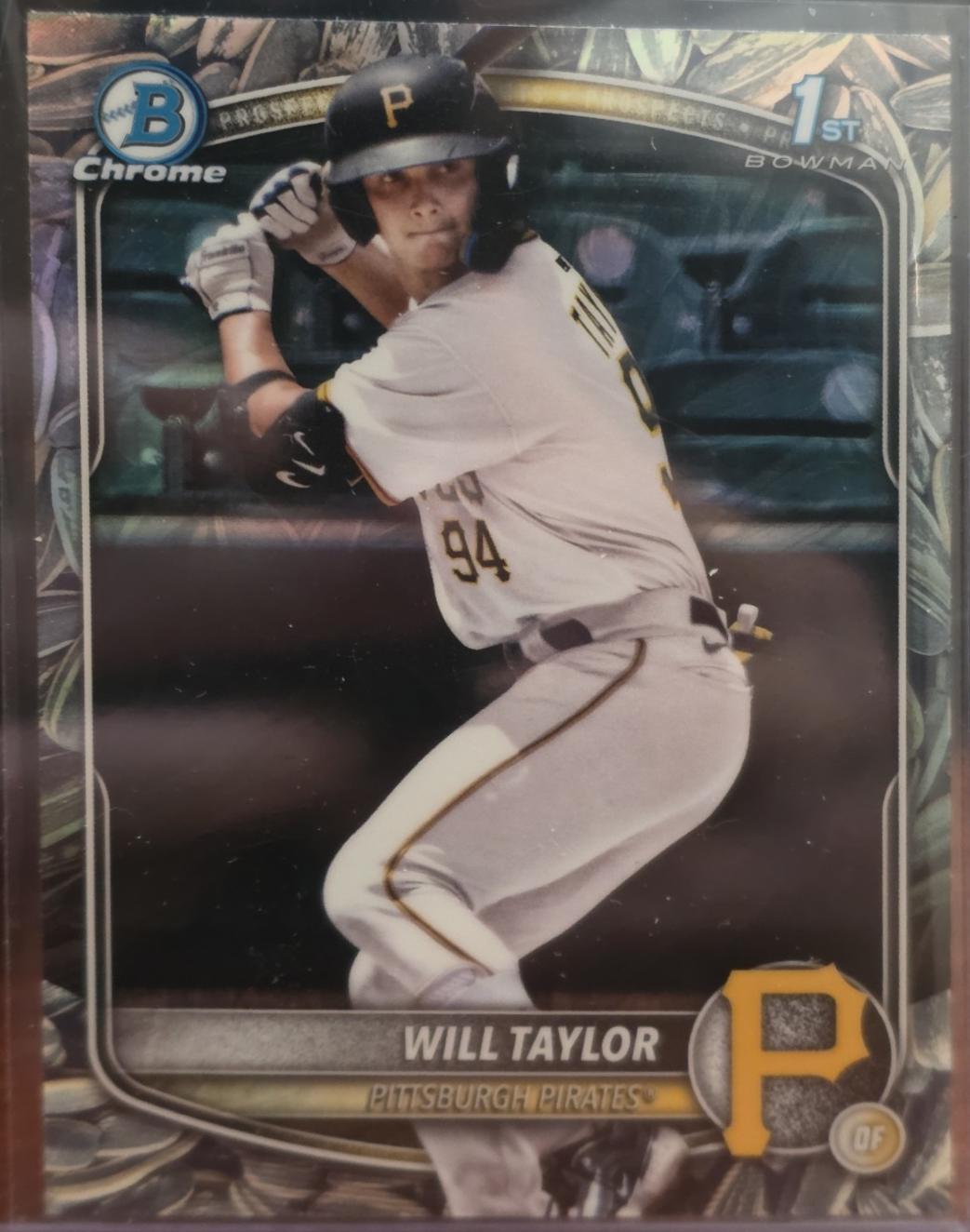 Will Taylor [Sunflower Seeds] #BCP-179