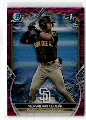 Nerwilian Cedeno [Fuchsia] #BCP-81