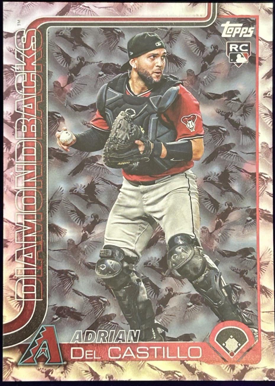 Adrian Del Castillo [Birds] #226