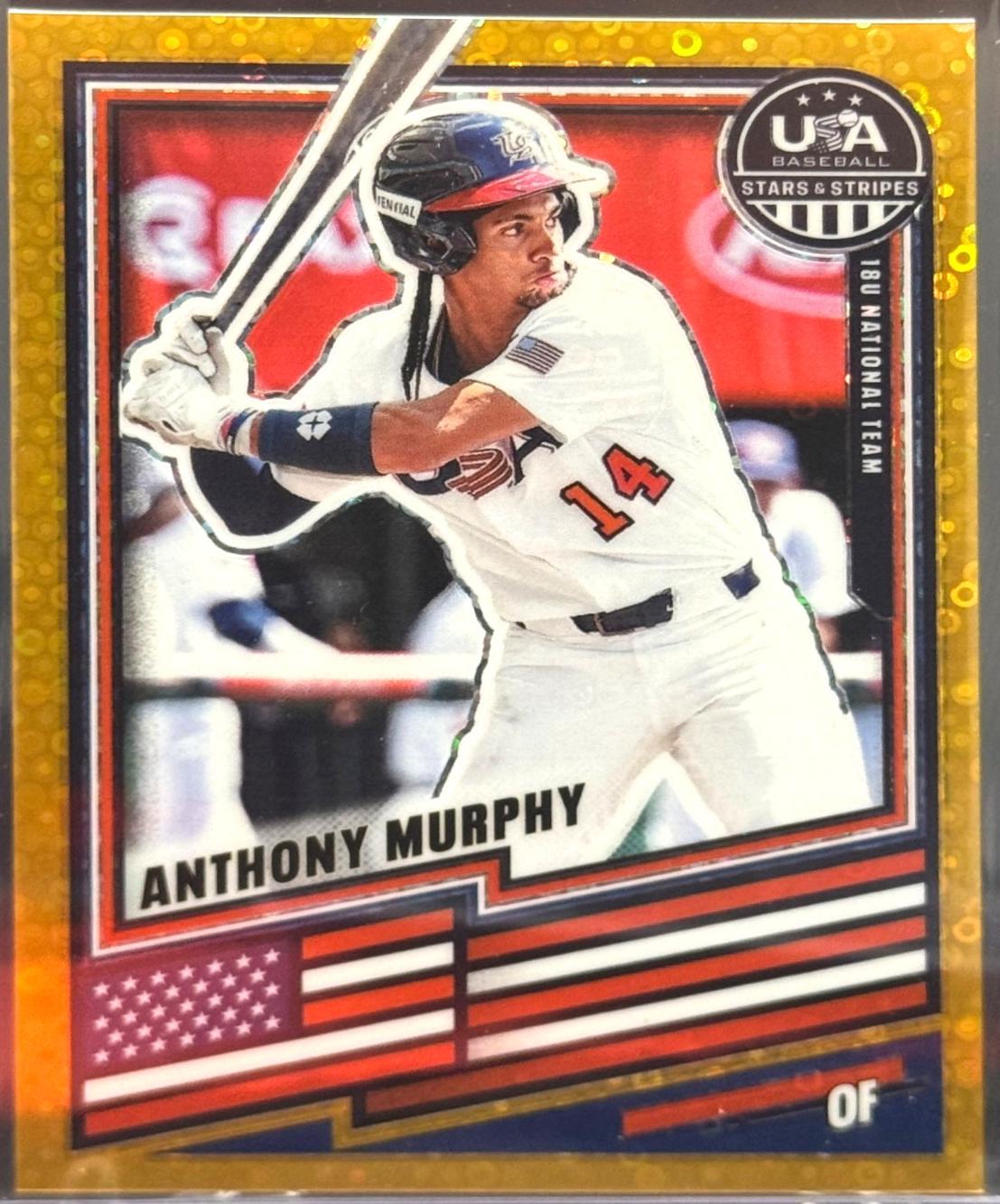 Anthony Murphy [Disco Gold] #31