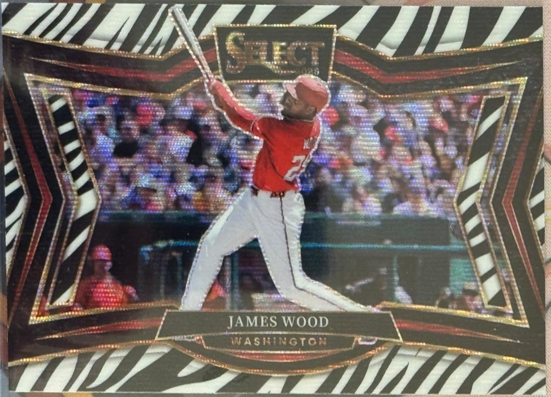 James Wood [Zebra] #289