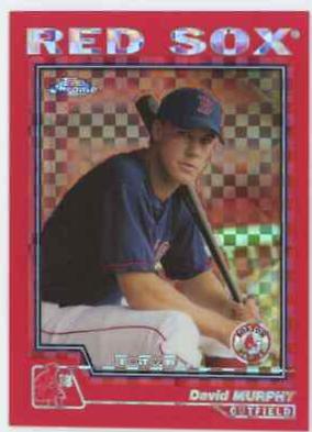 David Murphy #213