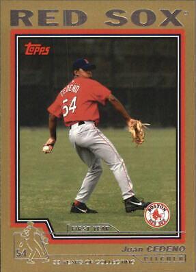 Juan Cedeno #T175
