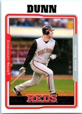 Adam Dunn #80