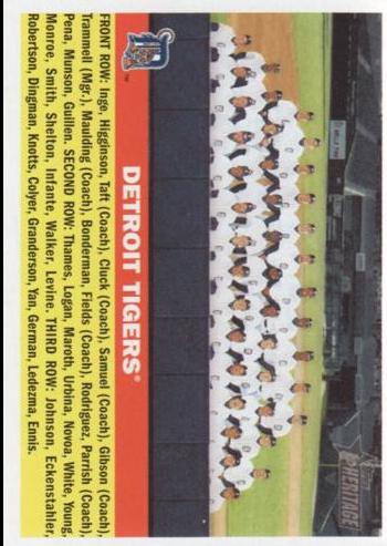 Detroit Tigers #213