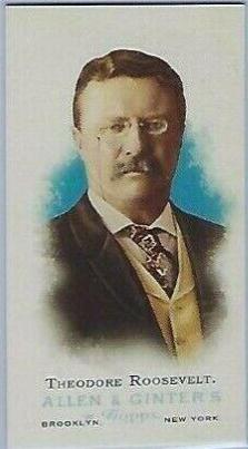 Theodore Roosevelt [Mini] #331