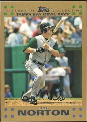 Tampa Bay Devil Rays [Gold] #244