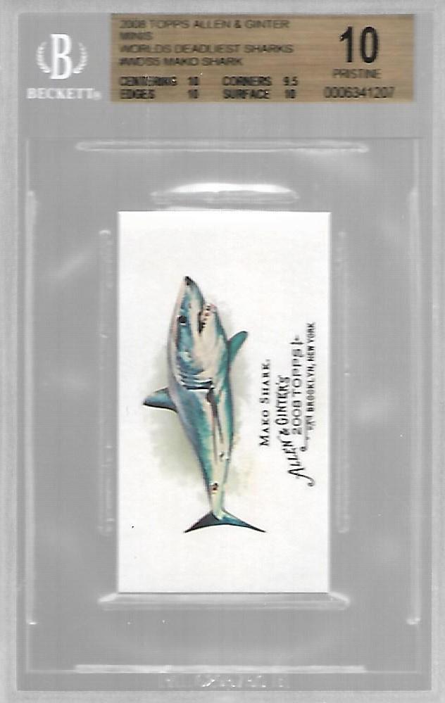 Mako Shark #WDS5
