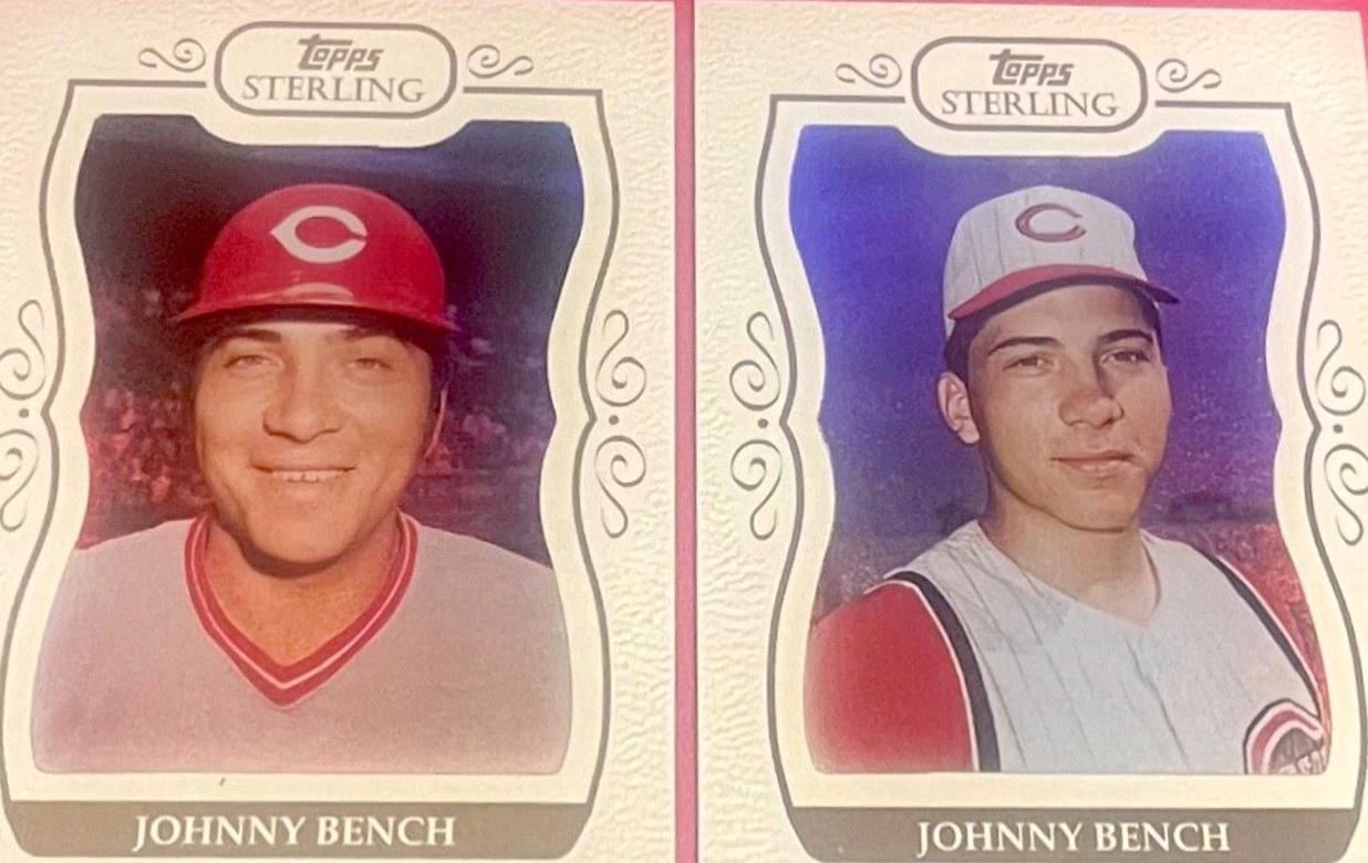 Johnny Bench #17