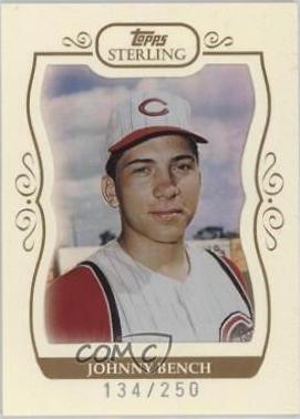 Johnny Bench #22