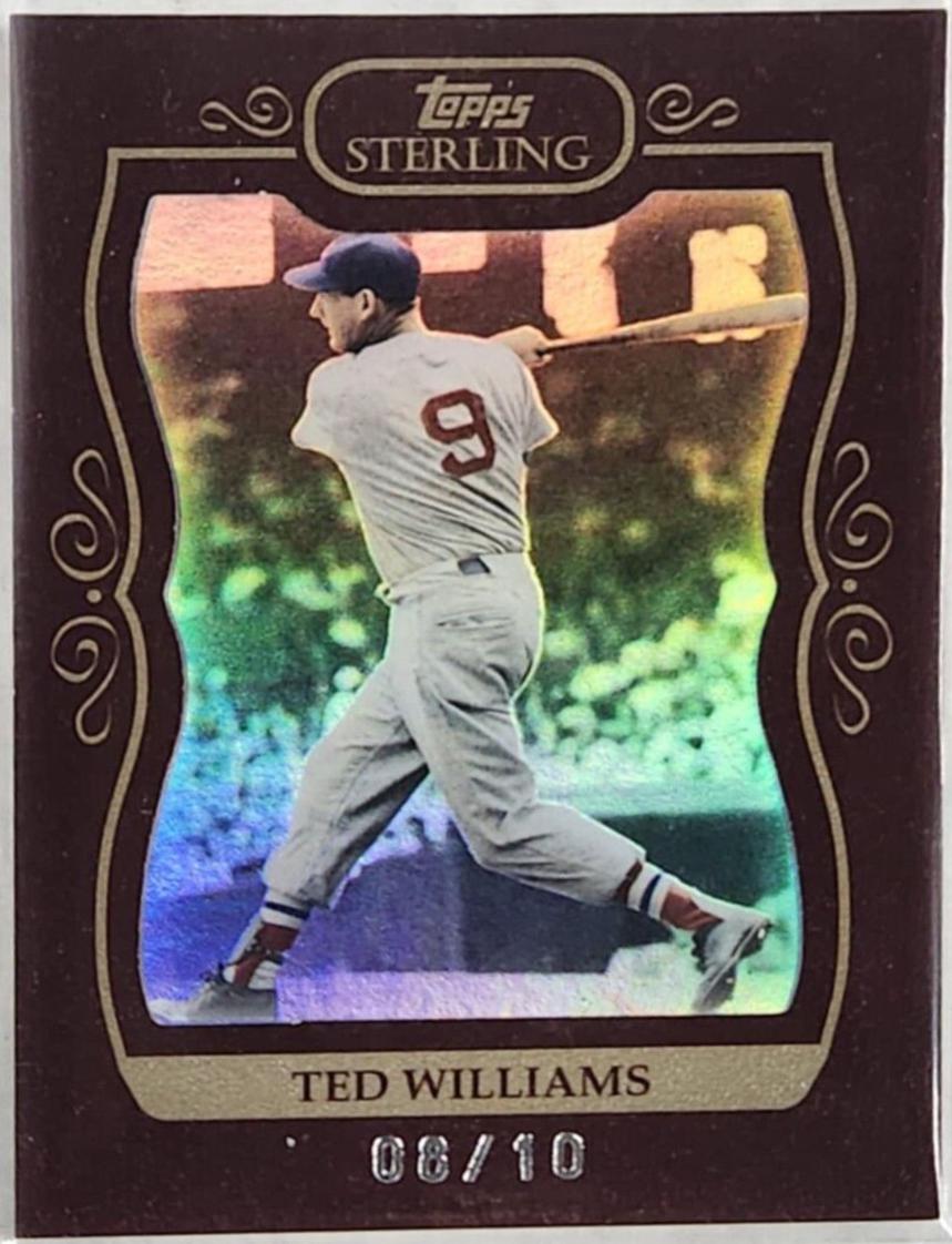 Ted Williams [Framed White] #253