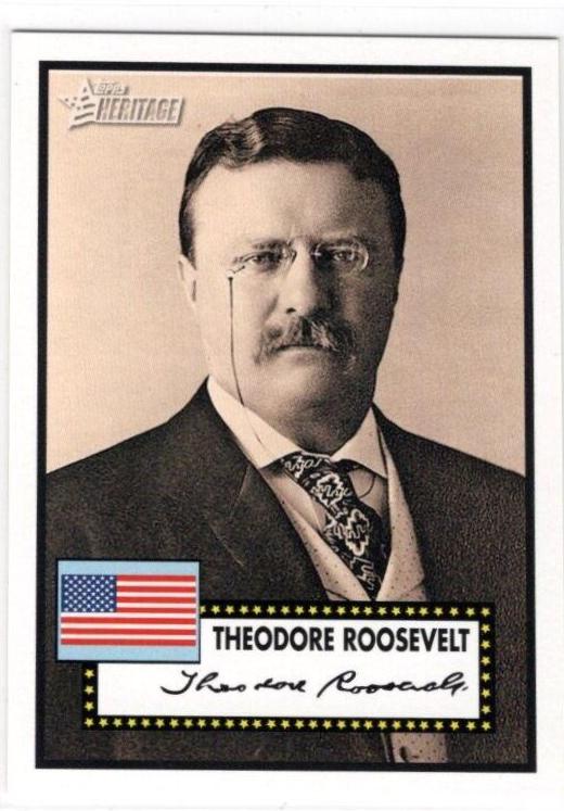 Theodore Roosevelt #AP26