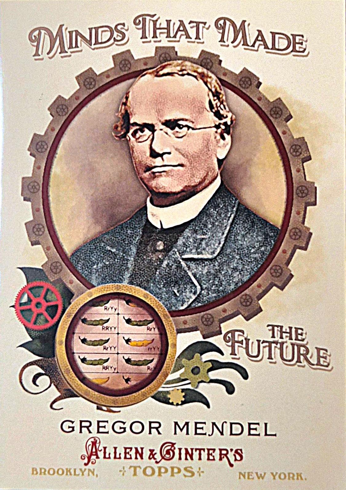 Gregor Mendel #MMF12