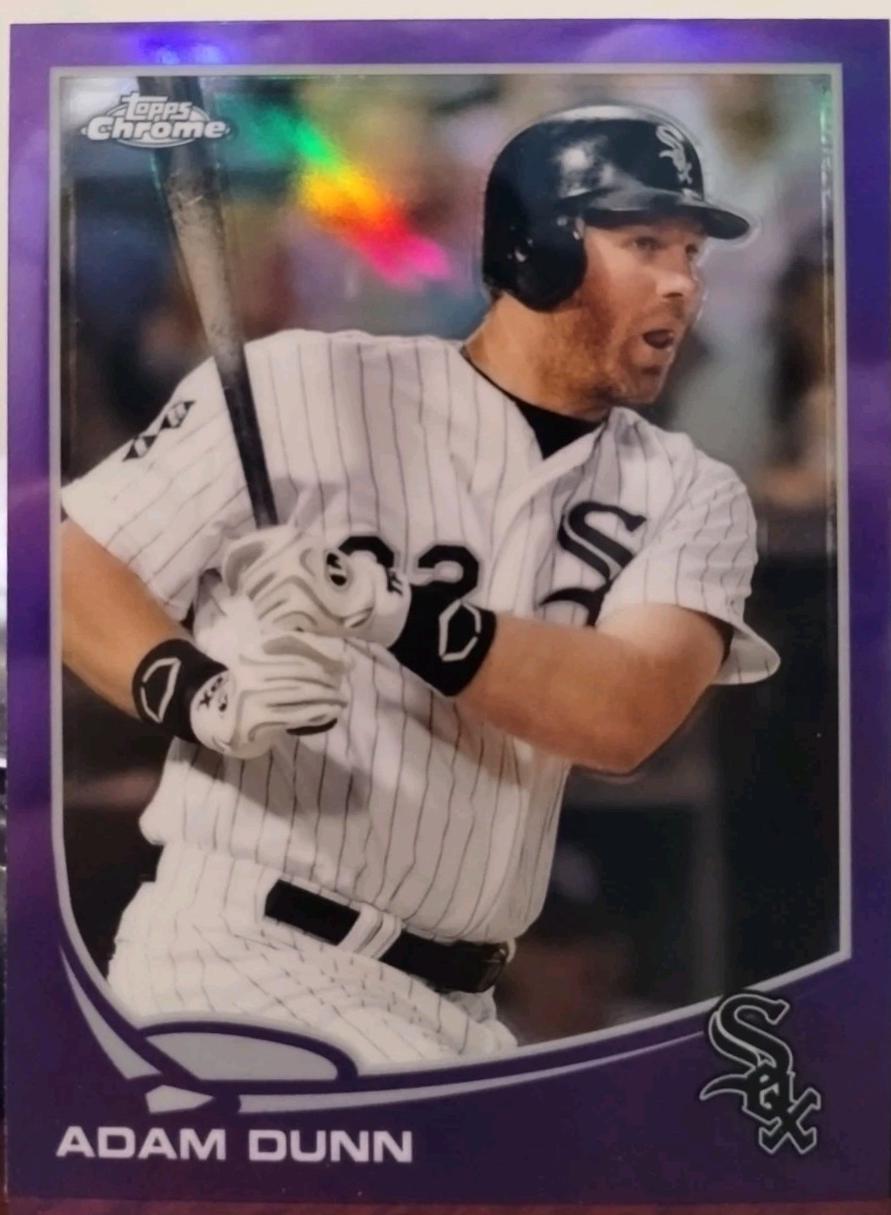 Adam Dunn [Purple Refractor] #201