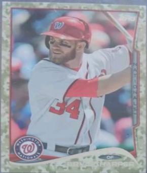 Bryce Harper [Camo] #100