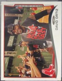 David Ortiz [High Fiving Crowd] #475