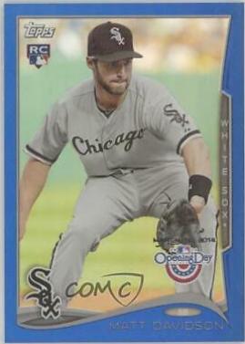 Matt Davidson #174