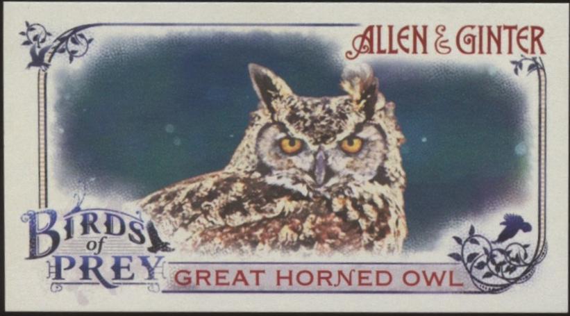 Great Horned Owl #BP-3