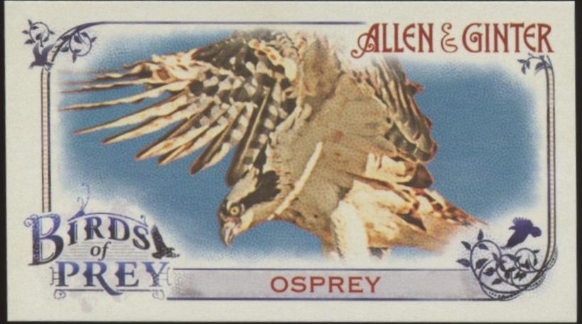 Osprey #BP-9