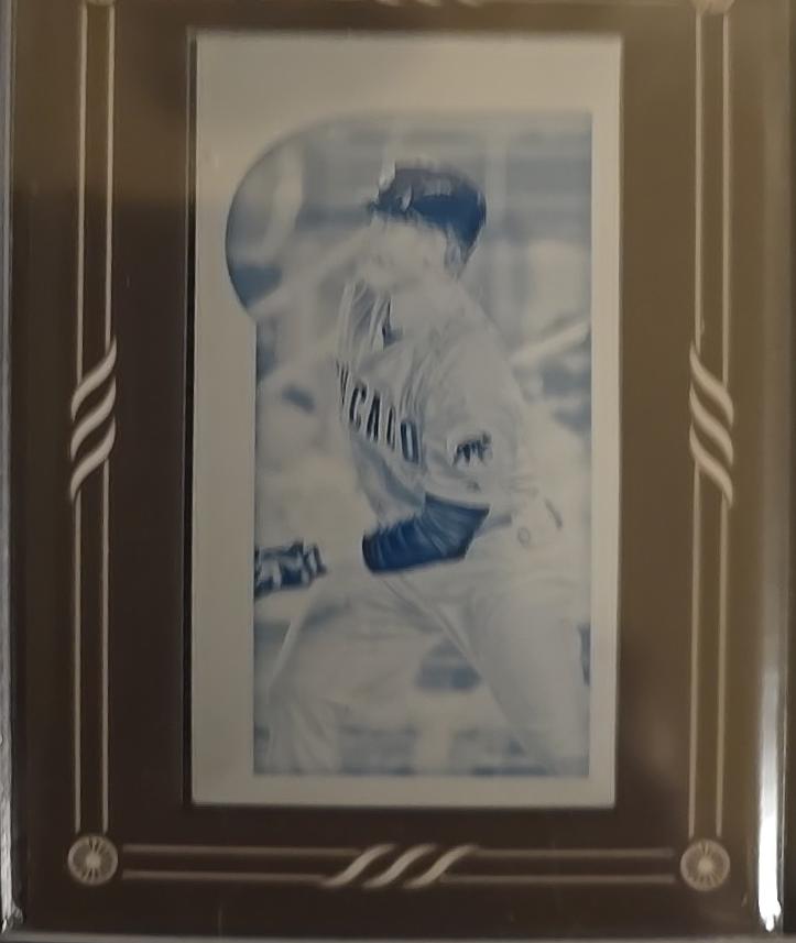 Anthony Rizzo [Printing Plate] #97