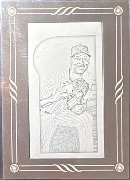LaTroy Hawkins [Printing Plate] #213
