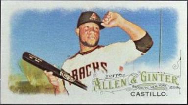 Welington Castillo [Mini A & G Back] #311