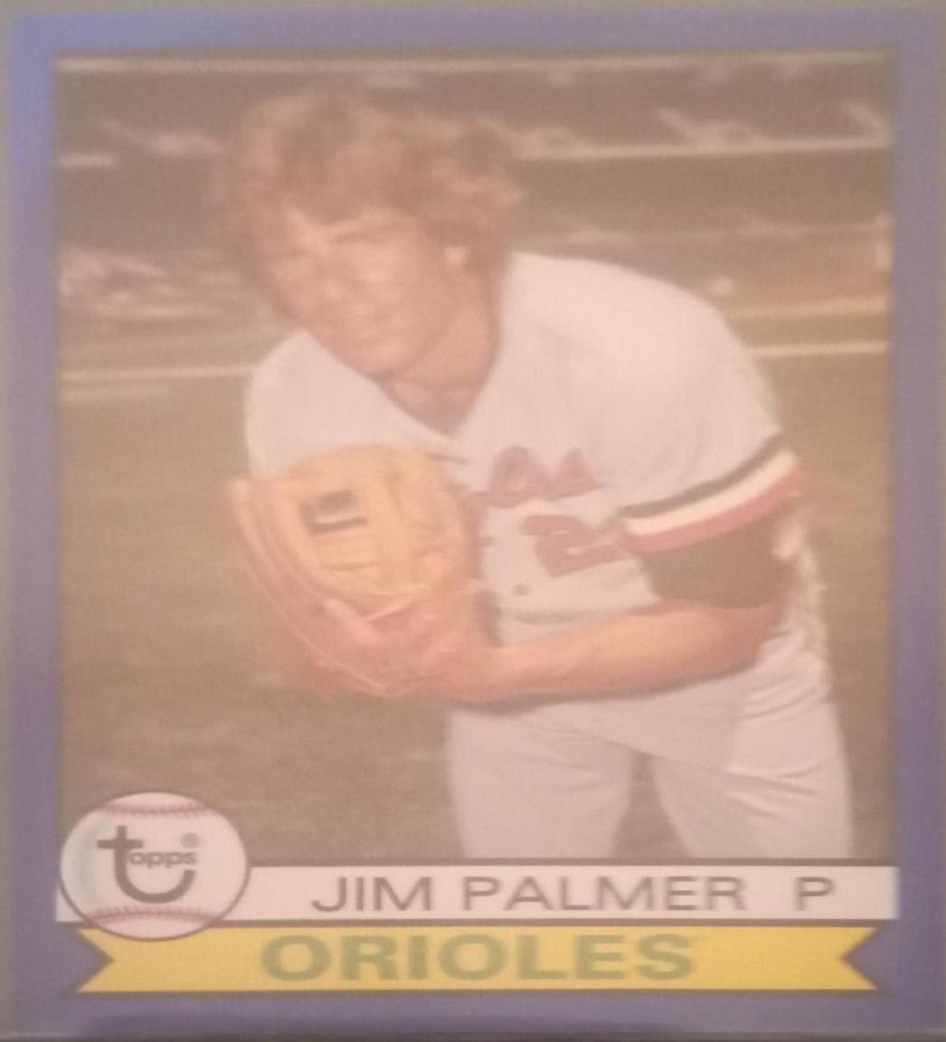 Jim Palmer [Blue Border] #131