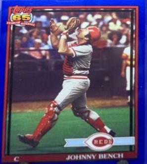 Johnny Bench [Blue Border] #203