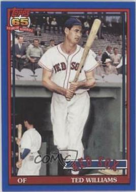 Ted Williams [Blue Border] #271