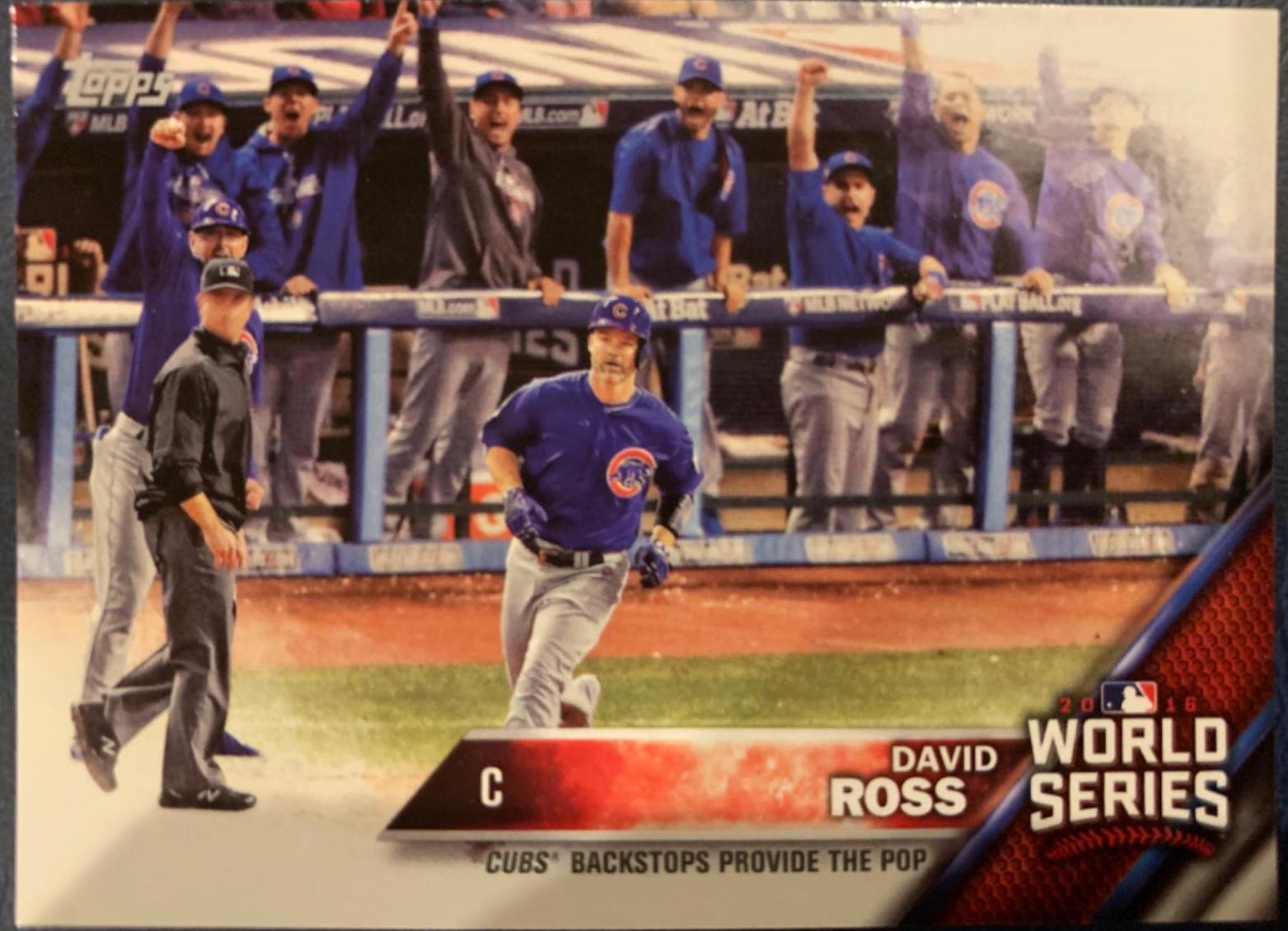 David Ross #WS-13