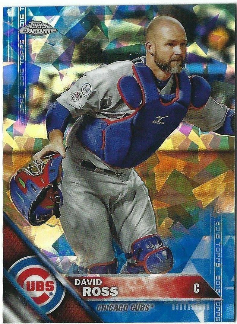 David Ross #441