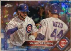 Young Cubs Buds #453